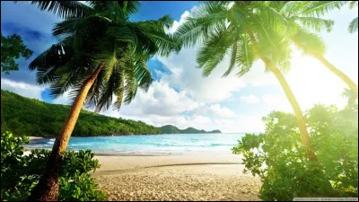 Sur son île, qui était le compagnon de Robinson Crusoé ?