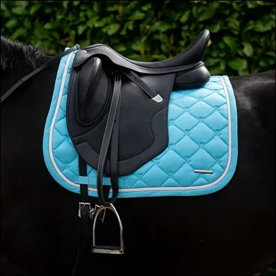 Quelle est cette selle ?