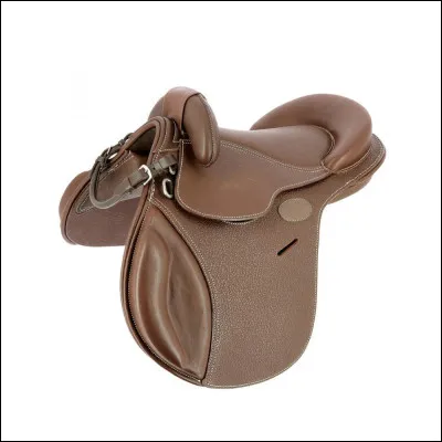 Quelle est cette selle ?