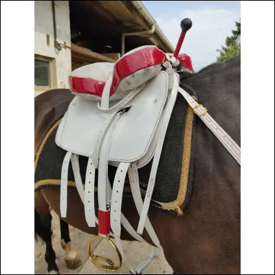 Quelle est cette selle ?