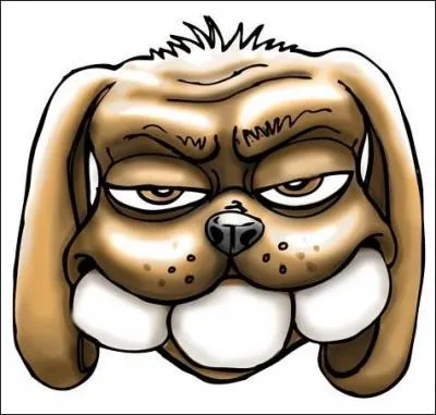 Lequel de ces mammifres a le plus de dents ?