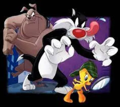 ''Titi et Grosminet'' : où se trouve Sylvestre ?