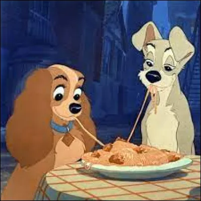 ''La Belle et le Clochard'' : quelle est la race des chats Si et Am ?