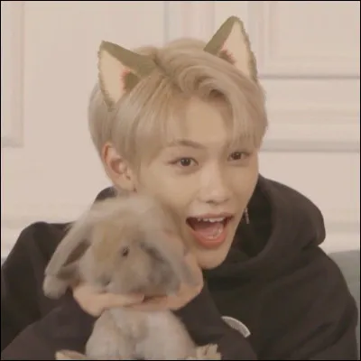 Quelle est ta couleur pr&eacute;f&eacute;r&eacute;e ?