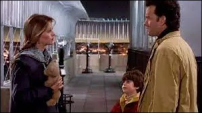 Ce film de 1993, avec Tom Hanks et Meg Ryan, c'est "Nuits blanches à ..."