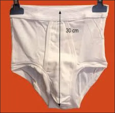 2 - Quel est le nom de ce sous-v&ecirc;tement pour homme, faisant r&eacute;f&eacute;rence &agrave; un animal ?