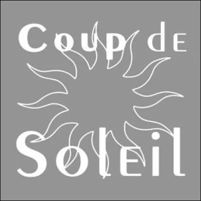 Quel chanteur interpr&eacute;tait ''Le Coup de soleil'' en 1979 ?