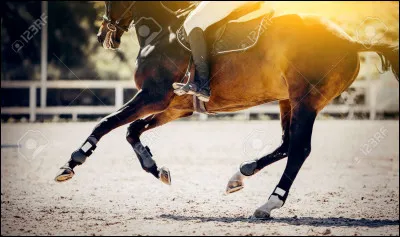 Que signifie galoper sur le bon pied ?