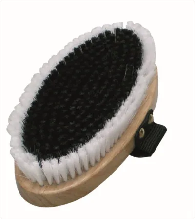 Comment s'appelle cette brosse ?