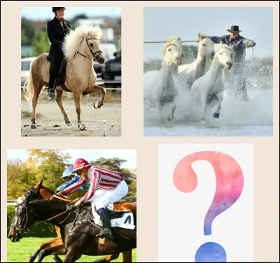 Discipline qui contient deux allures supplémentaires...