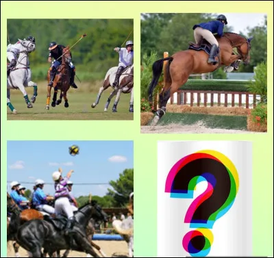 C'est un sport collectif se jouant avec un ballon pourvu de six anses...