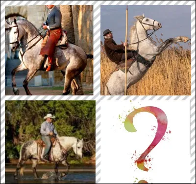 Cette discipline est issue d'une tradition propre aux cow-boys...