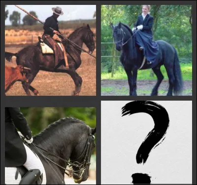 Discipline issue du travail dans les élevages de taureaux en Andalousie...