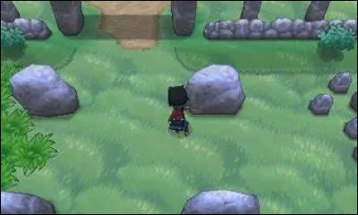 Comment appelle-t-on la Route 10 ?