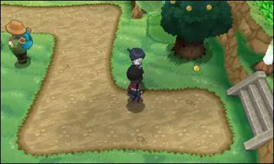 Comment appelle-t-on la Route 11 ?