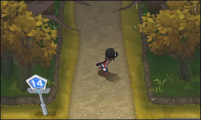 Comment appelle-t-on la Route 14 ?