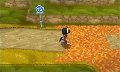 Comment appelle-t-on la Route 15 ?