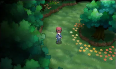 Comment appelle-t-on la Route 20 ?