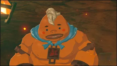 Comment se nomme le Sage du feu ?