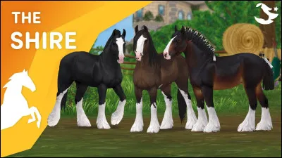 Le cheval le plus grand du jeu est le "Shire" !