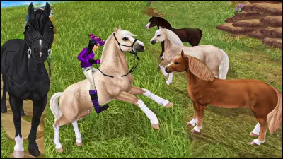 Les poneys "Welsh" sont de type B.