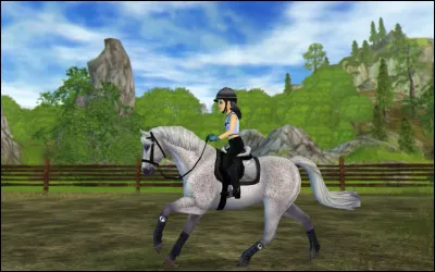 Ceci est un "Connemara".