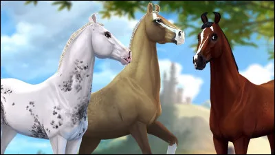 Et celui-ci est un cheval de dressage.