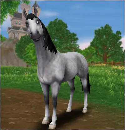 Ce cheval est un "Jorvikois sang-chaud" de couleur pie bai.