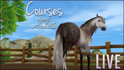 Ce cheval est un "Andalou".