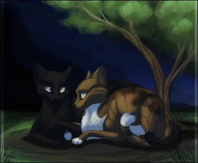 Plume de Jais a eu deux compagnes.