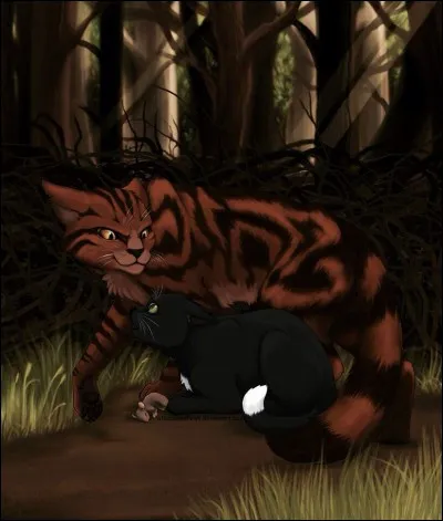 Griffe de Ronce est allé dans la Forêt Sombre.