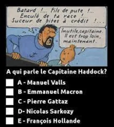 Dans quel album de Tintin apparait pour la première fois le capitaine Haddock ?