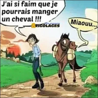 Comment écrit-on le mot cheval en italien ?