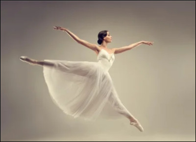 Qu'est-ce qui est représenté sur cette image ?