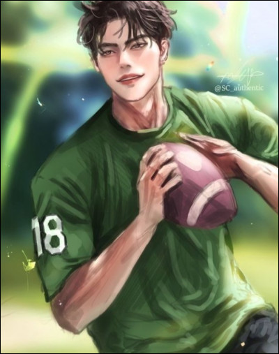 Quel sport est représenté sur cette image ?