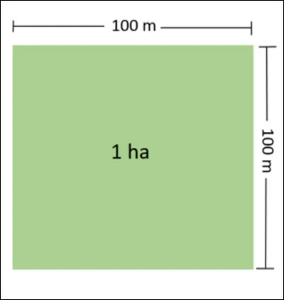 L'hectare, unité de surface vaut 1 000 ares.