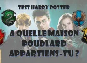 Test  quelle maison de Poudlard appartiens-tu ?