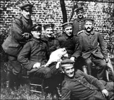 Le but d'Hitler étant de conquérir tous les pays aux alentours de l'Allemagne, il attaque la Pologne pour la conquérir. En quelle année l'Allemagne a-t-elle envahi la Pologne ?