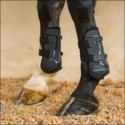 Ce cheval porte des...