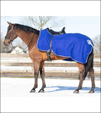 Ce cheval porte un... (objet bleu)