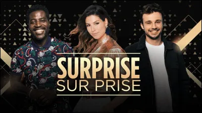 En quelle année a été diffusé le premier épisode de l'émission télévisée "Surprise sur prise" ?