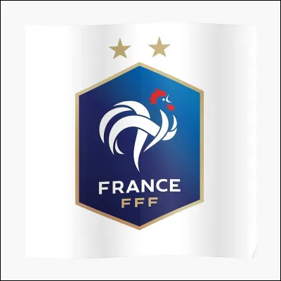 Qui n'y a-t-il pas dans l'équipe de France ?