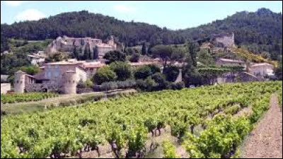 Le vin saint-joseph et celui de Gigondas sont des vins de la vallée du Rhône.