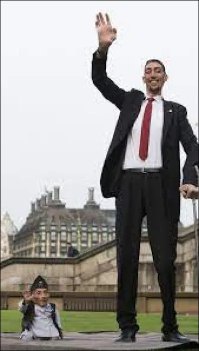 Robert Wadlow, mort en 1940, mesurait 2,85 mètres.