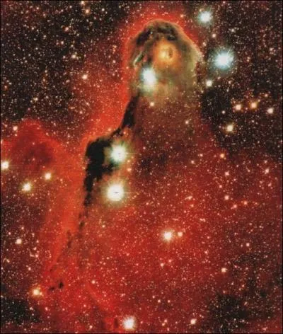 De quoi est composé une nébuleuse ?