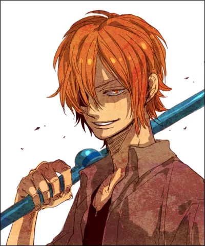 Qui est ce personnage de ''One Piece'' ?