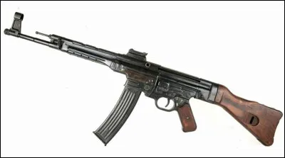 Quel est le nom de ce fusil d'assaut ?