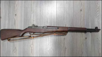 Quel est le nom de ce fusil ?