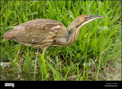 Un bout de ligne, c'est le...