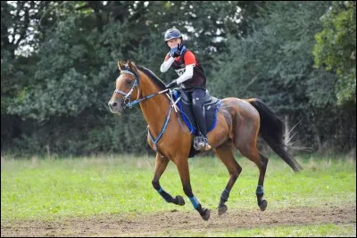 De temps en temps le CSO du CCE est remplac&eacute; par...
